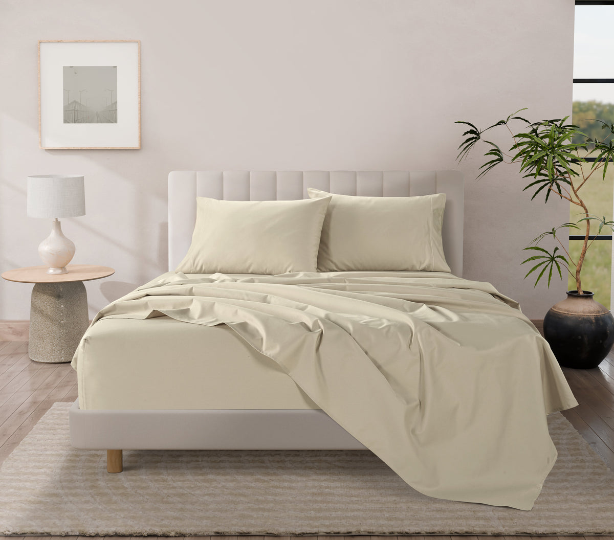 400 Thread Count Egyptian Cotton : Ivory Pillow Case - 2 Piece