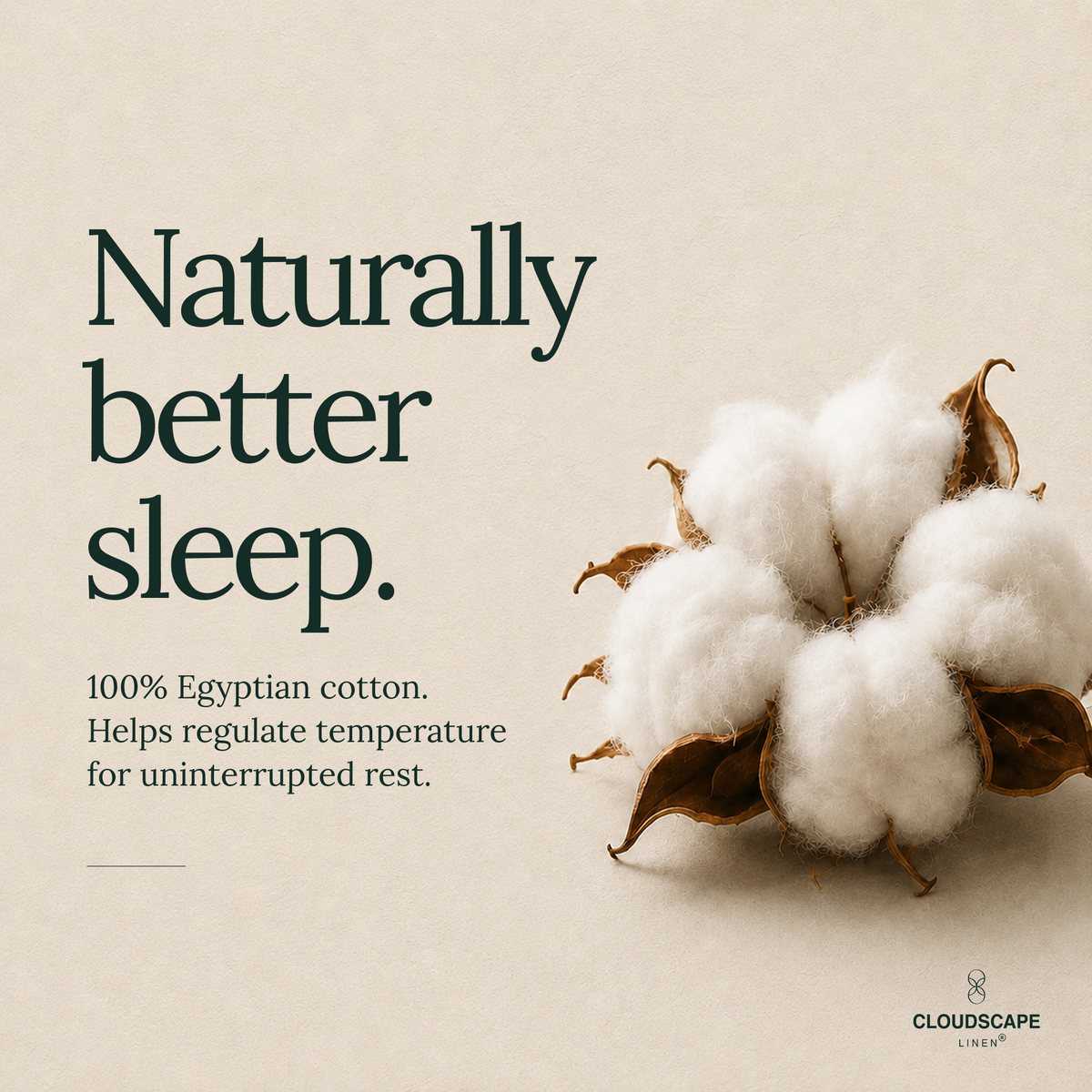 1000 Thread Count Egyptian Cotton : Ivory Bedsheet Set