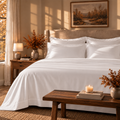 1000 Thread Count Egyptian Cotton : White Bedsheet Set